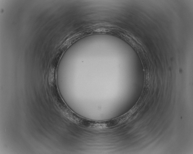 X0000087670554200705040728