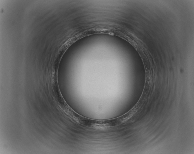 X0000087670556200705040728