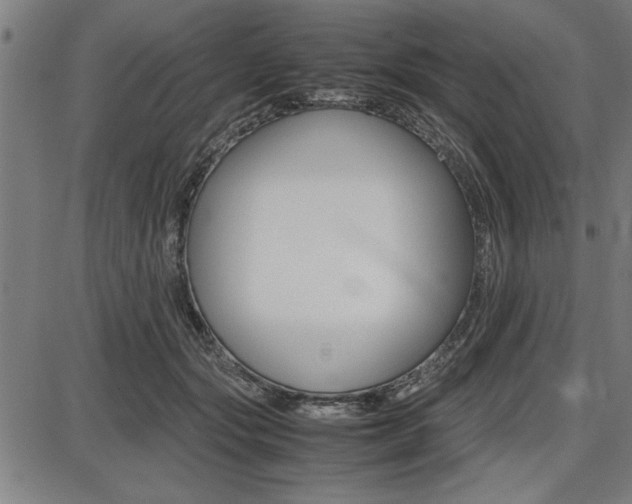 X0000087670557200705040728
