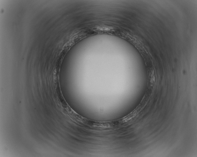 X0000087670559200705040728