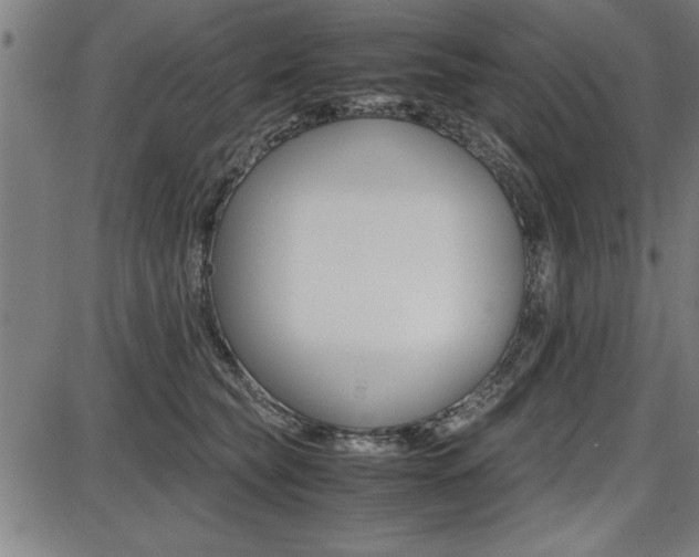 X0000087670565200705040728