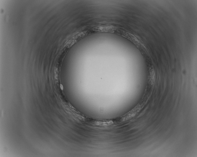 X0000087670571200705040728