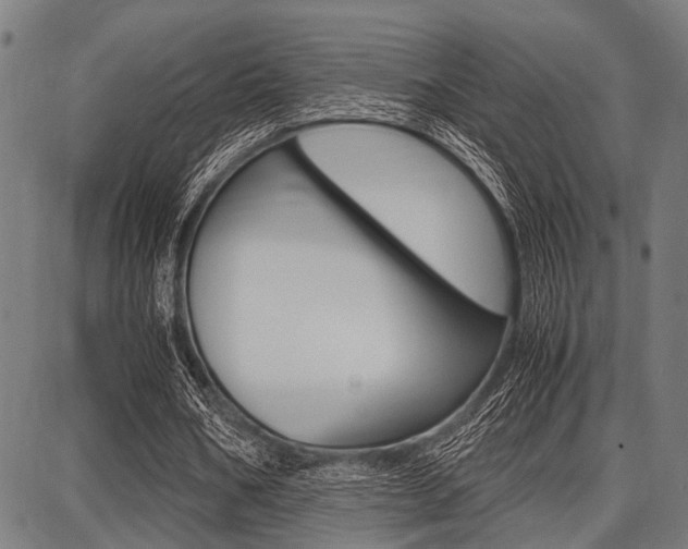 X0000087670578200705040728