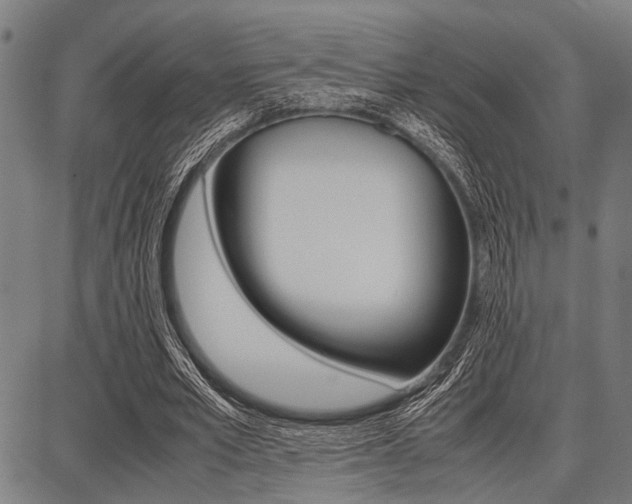 X0000087670581200705040727