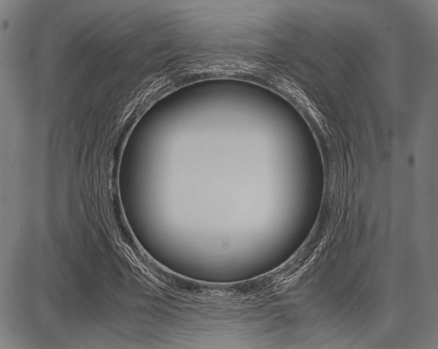 X0000087670585200705040727