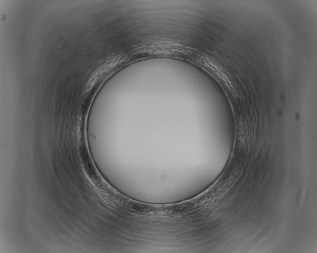 X0000087670586200705040727