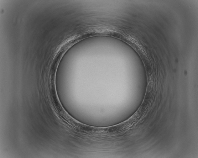 X0000087670587200705040727