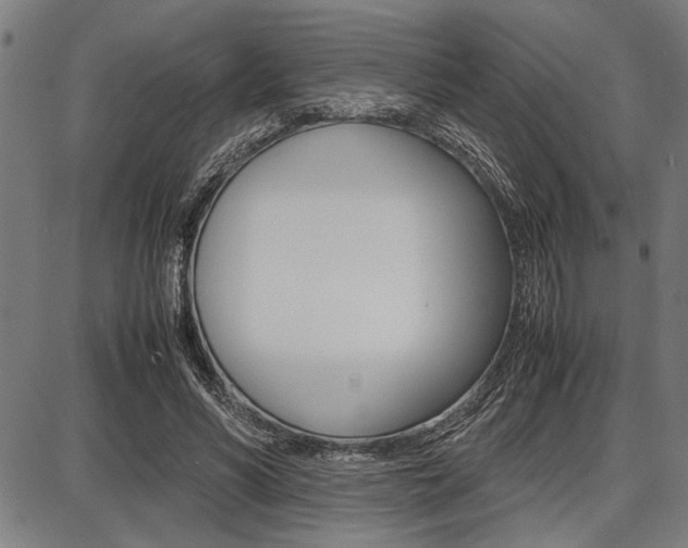 X0000087670590200705040727
