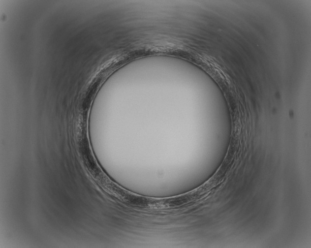 X0000087670591200705040727
