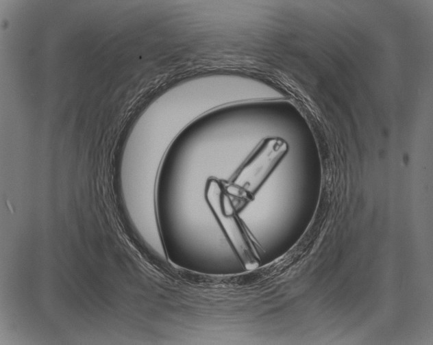 X0000087670593200705040727