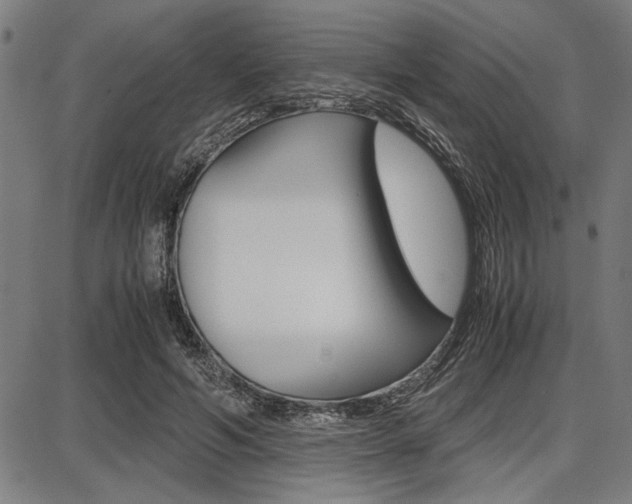 X0000087670594200705040727
