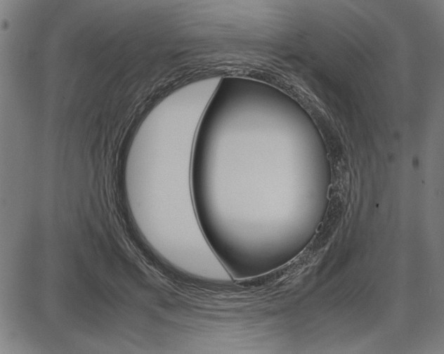 X0000087670597200705040727