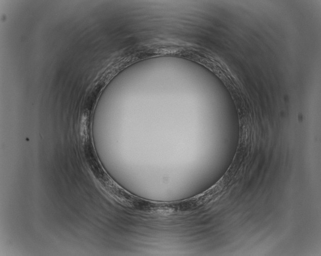 X0000087670598200705040727