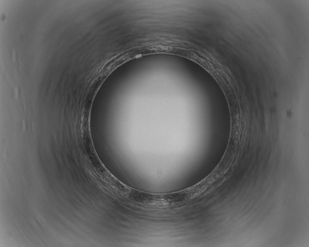 X0000087670600200705040727