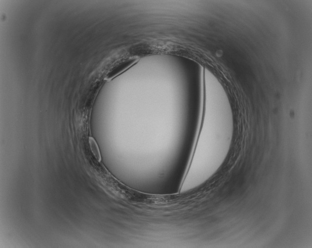 X0000087670601200705040727