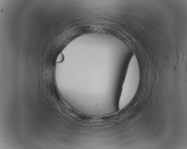 X0000087670603200705040727