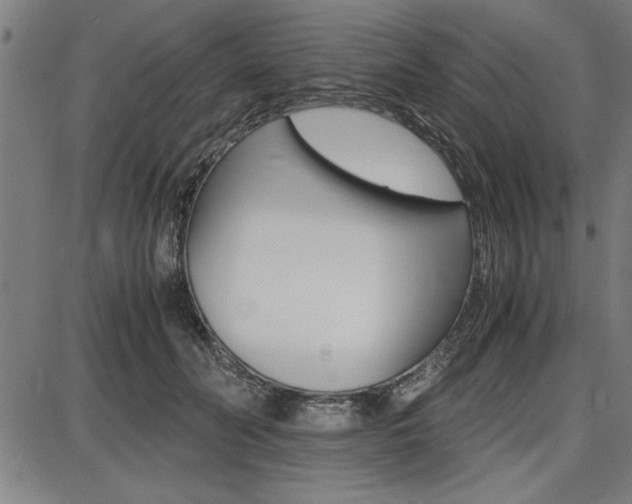 X0000087670606200705040727