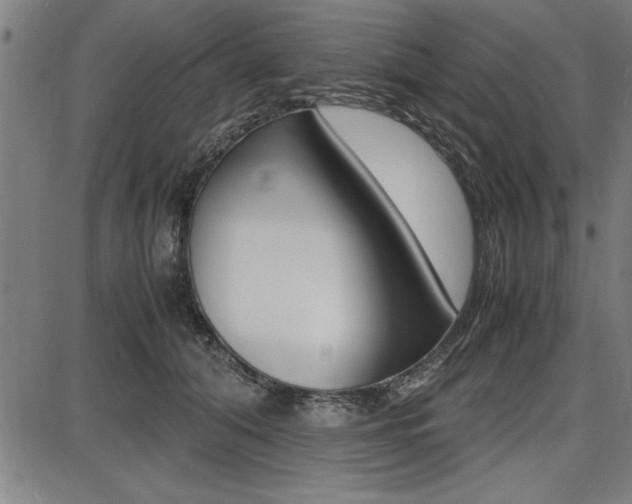 X0000087670608200705040727