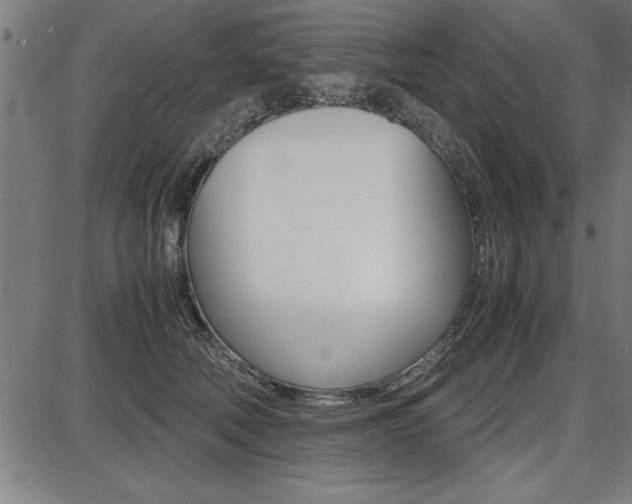X0000087670610200705040727
