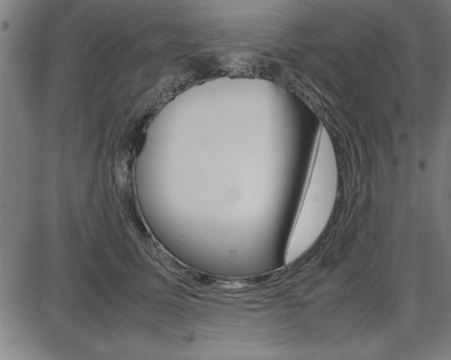 X0000087670611200705040727