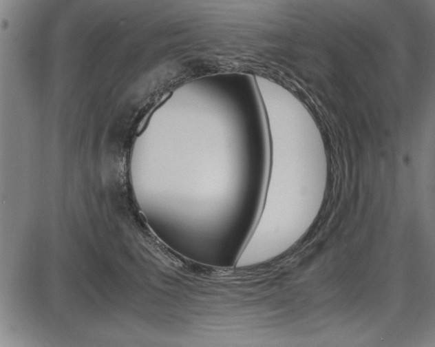 X0000087670613200705040727