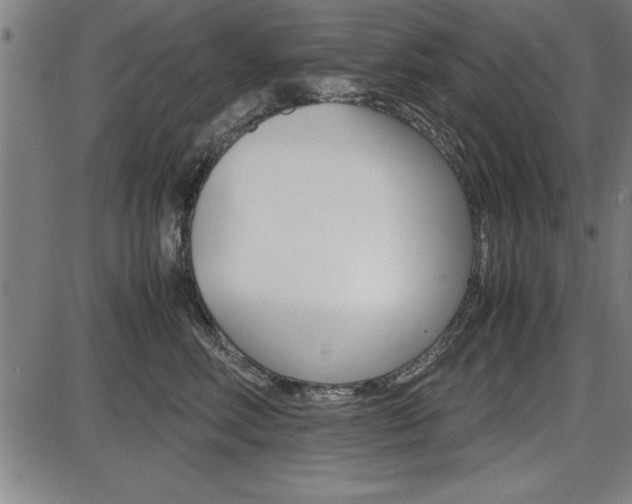 X0000087670618200705040727