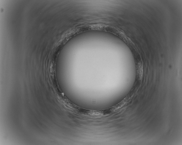 X0000087670619200705040727