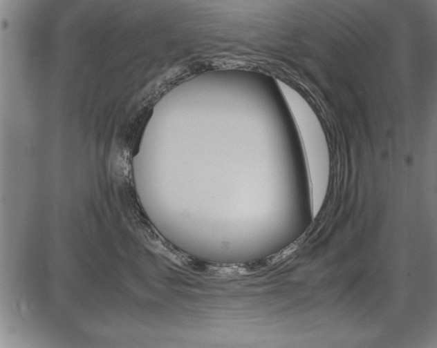 X0000087670621200705040727