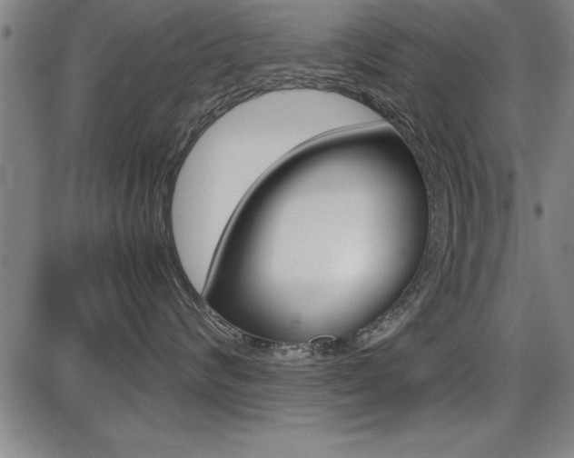 X0000087670624200705040727