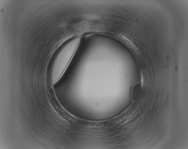 X0000087670627200705040726
