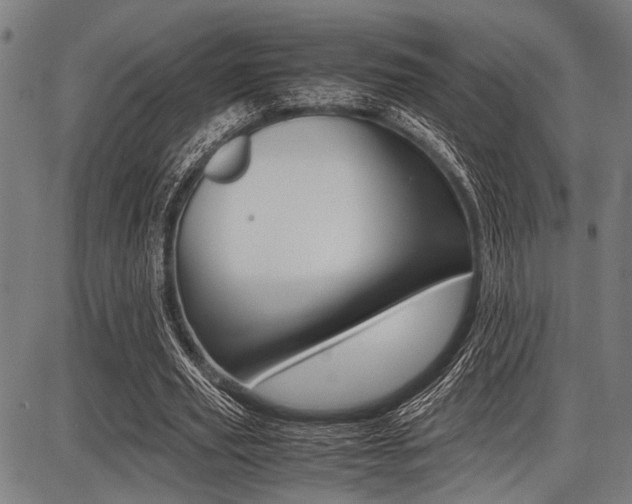 X0000087670629200705040726