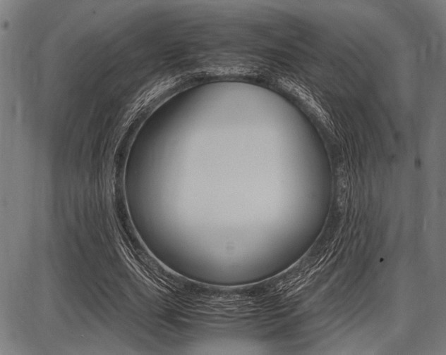 X0000087670631200705040726