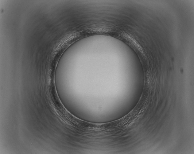 X0000087670635200705040726