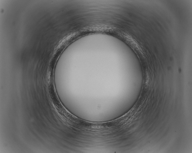 X0000087670636200705040726