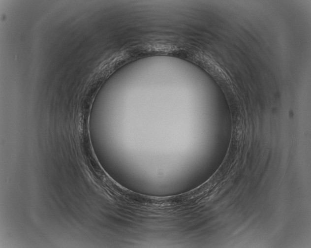 X0000087670639200705040726