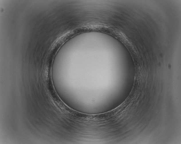 X0000087670640200705040726