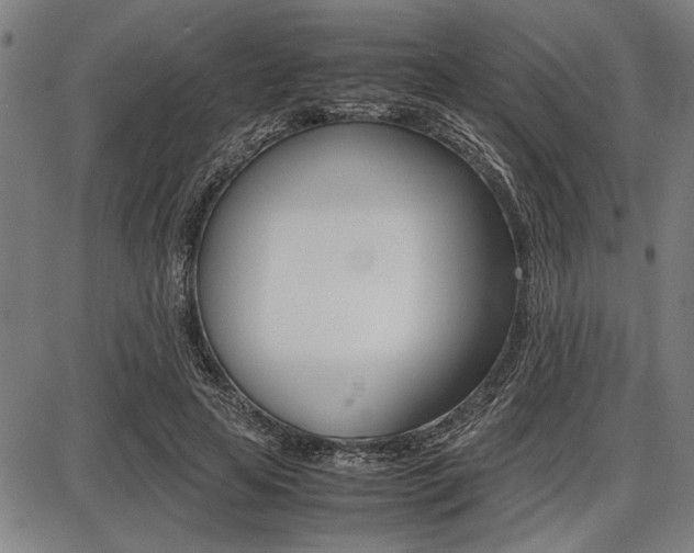 X0000087670641200705040726