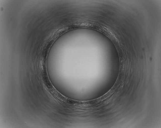 X0000087670643200705040726