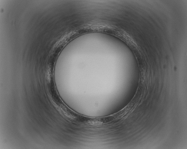 X0000087670644200705040726