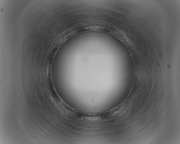 X0000087670645200705040726