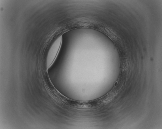 X0000087670646200705040726