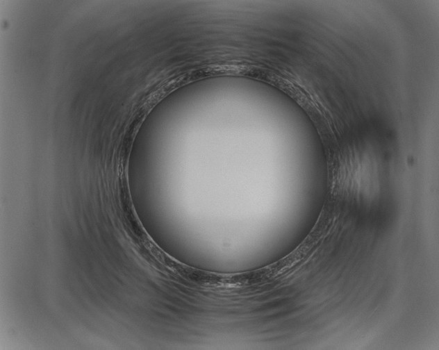 X0000087670647200705040726