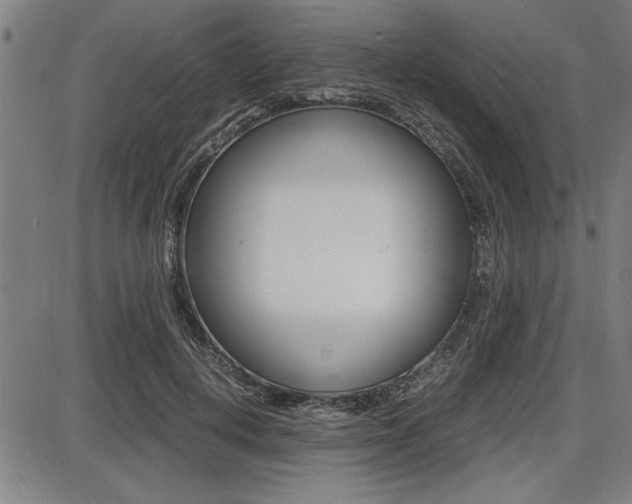 X0000087670648200705040726