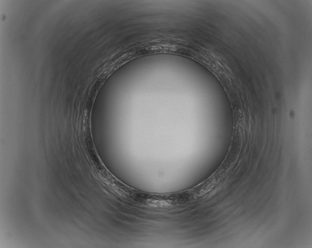 X0000087670649200705040726