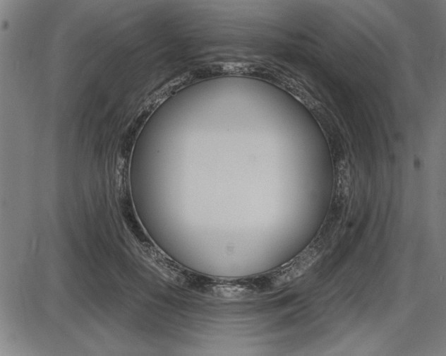 X0000087670650200705040726