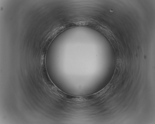 X0000087670652200705040726