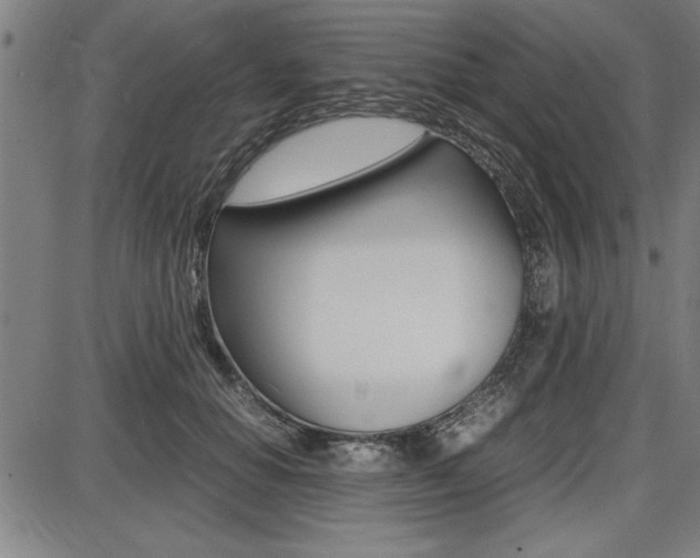 X0000087670654200705040726