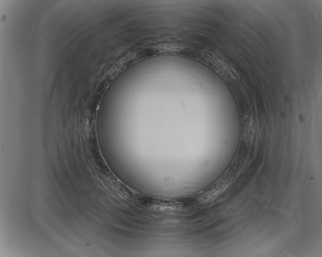 X0000087670655200705040726