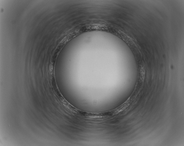 X0000087670657200705040727