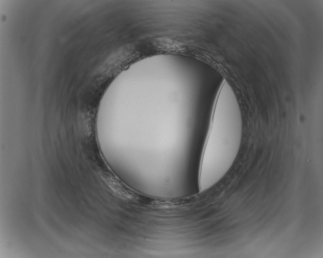X0000087670658200705040727